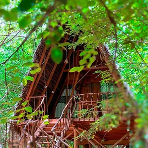 Курортный комплекс Tree House Ambasewana, Хабарана